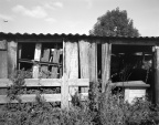 Derelict shed