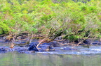 River at platypus flats - 2011-10-24 at 21-52-49