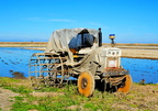 Rice paddy tractor in Amposta